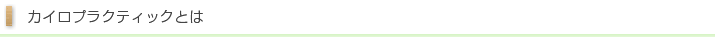 カイロプラクティックとは