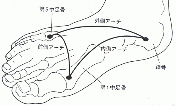 足のアーチ